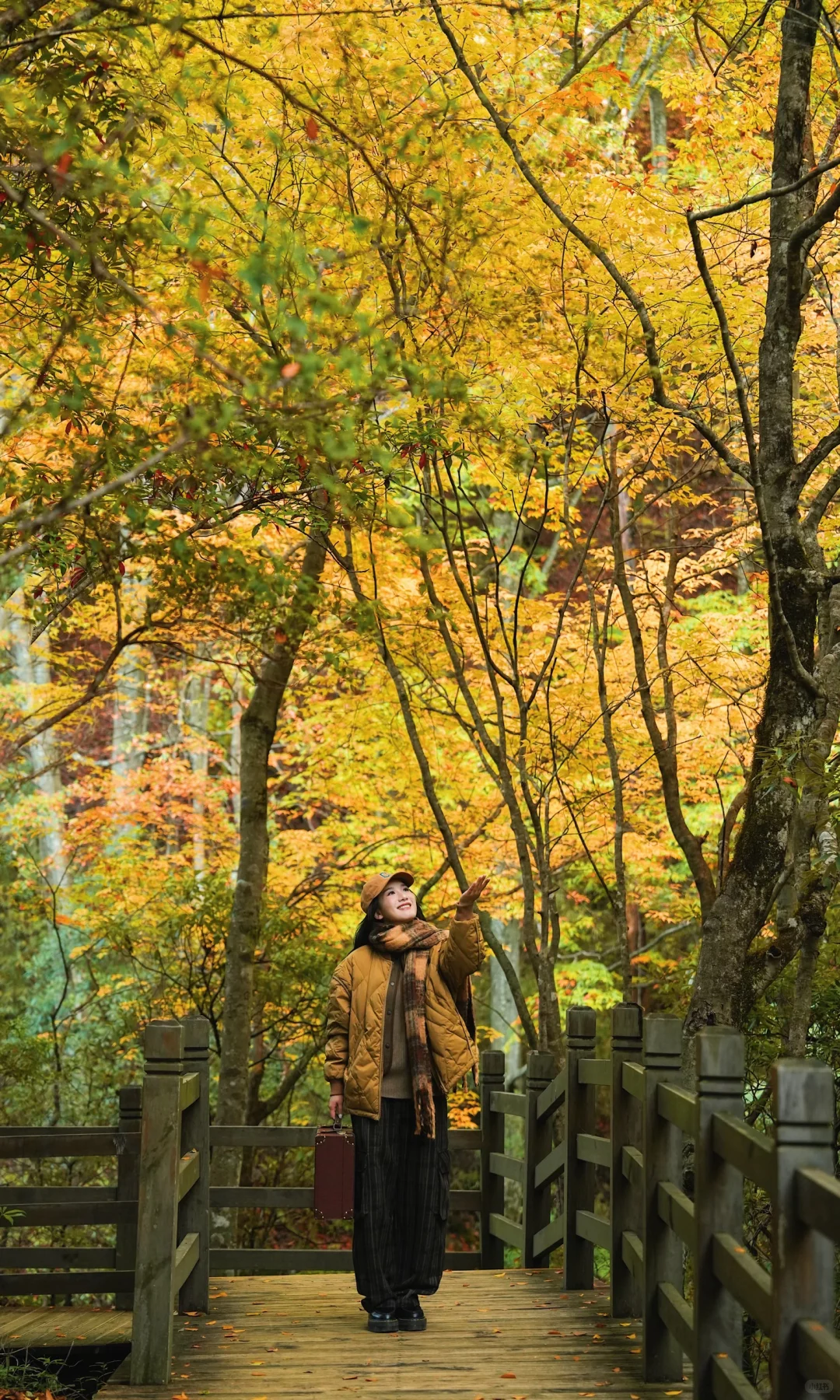 全屏｜迄今为止蕞震撼的赏秋🍁地出现了！