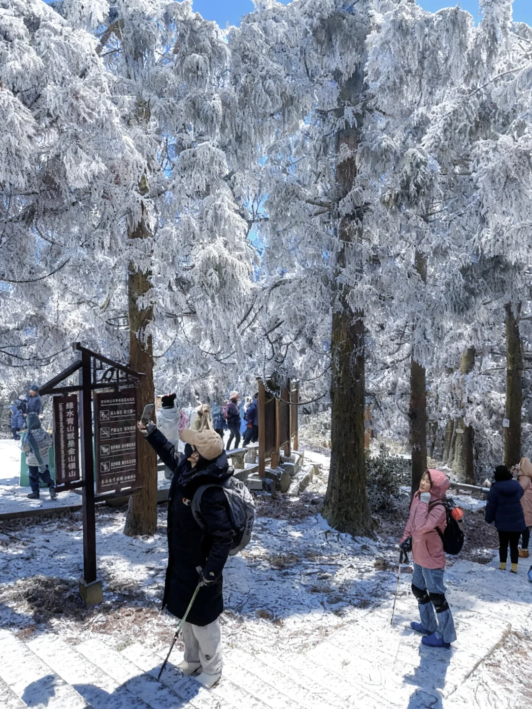推荐个广东人最省时省钱的赏雪地：南岳衡山