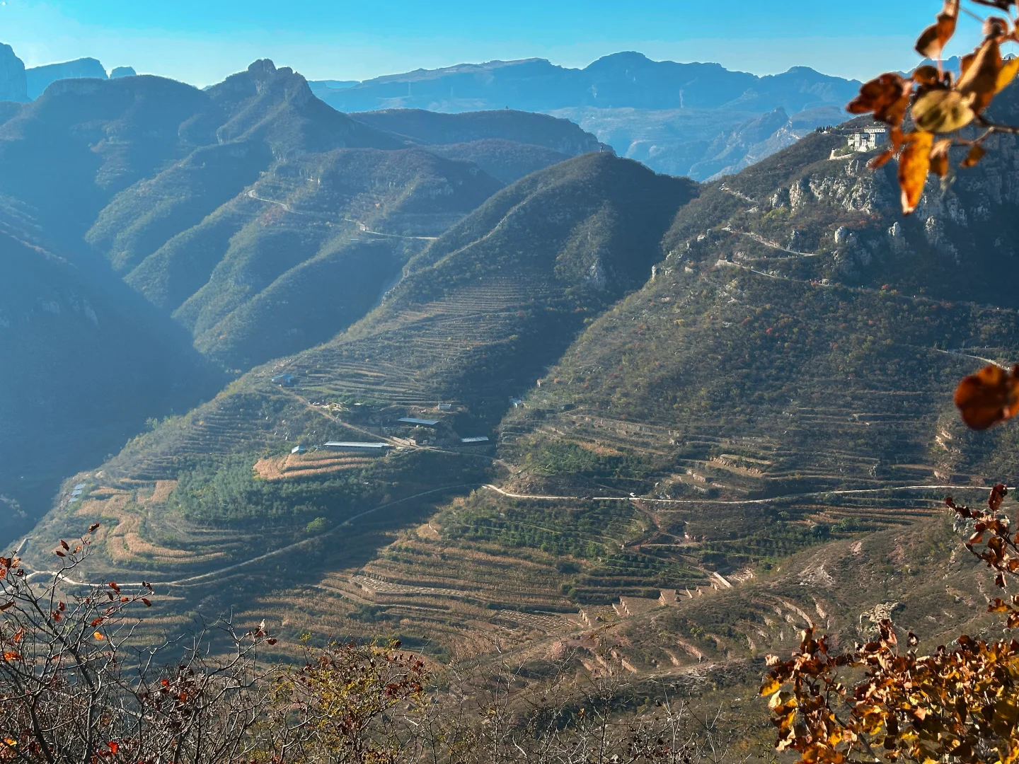 想看看你们拍的红叶🍁
