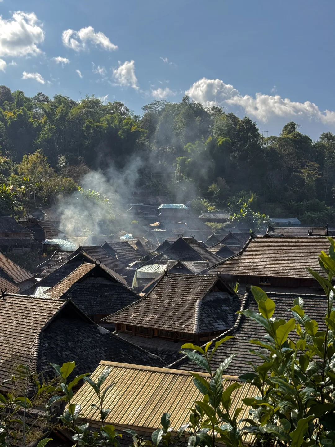 今年为止，我最喜欢的旅行地出现了…