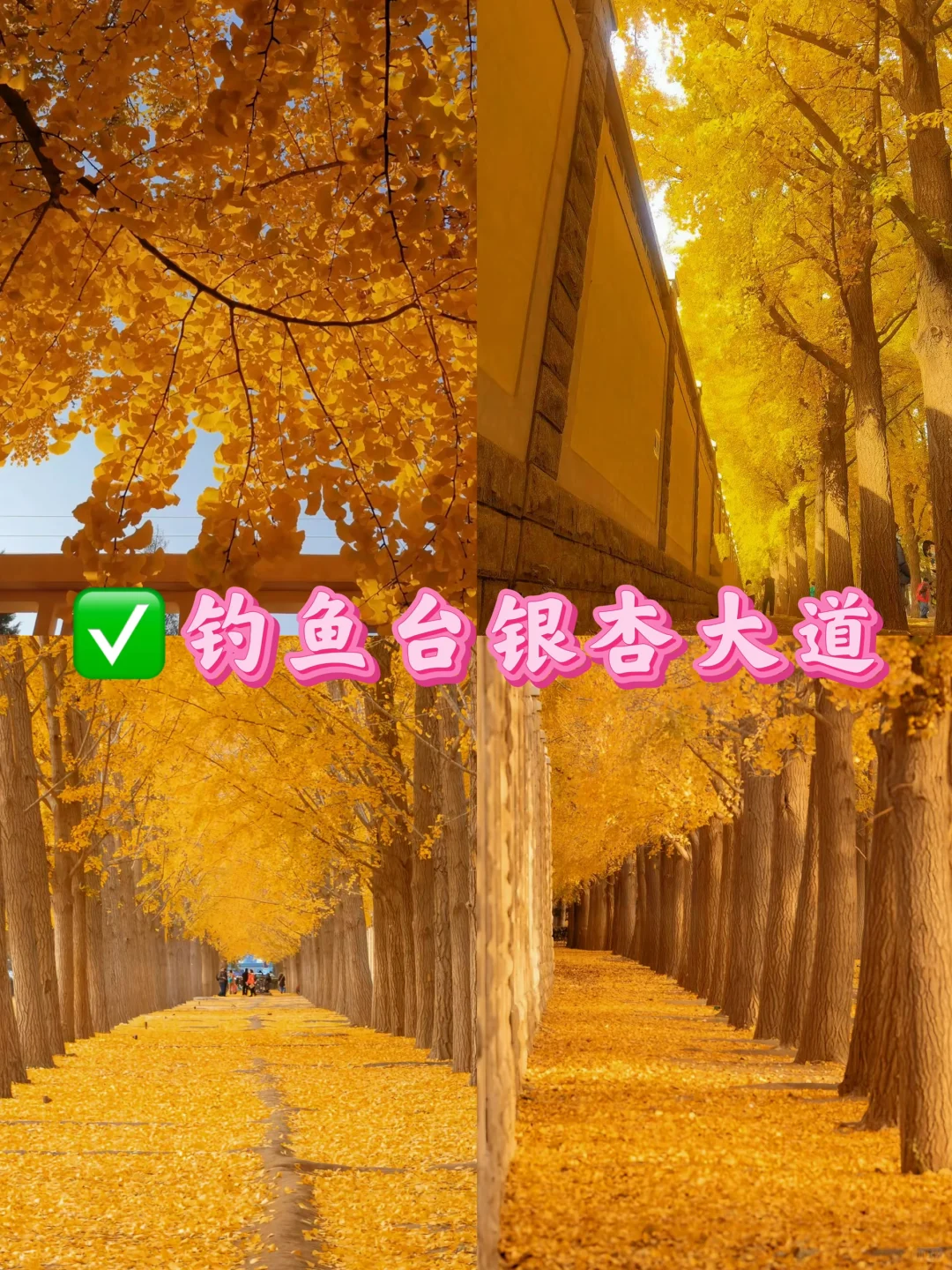 北京九大赏秋地合集！错过还得在等一年🔥