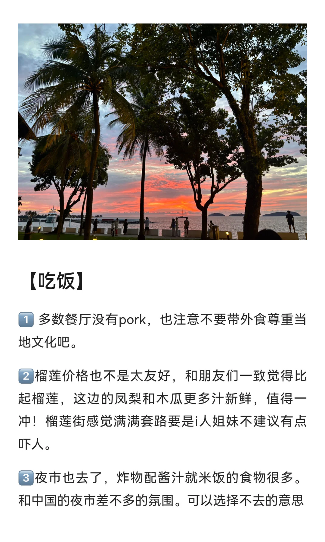 11.5-11.9亚庇已回！真心码字诚不欺众