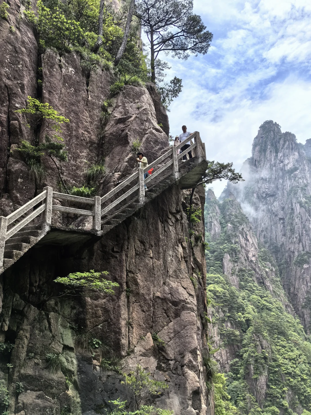 ✨黄山｜人间仙境爬黄山全攻略，别错过这些