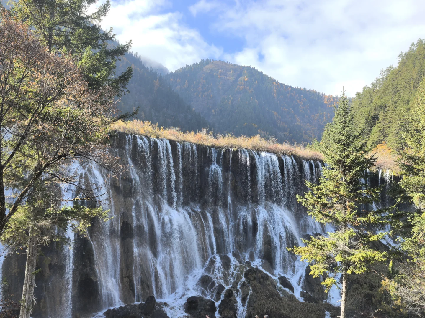 11.11九寨沟树正沟实况