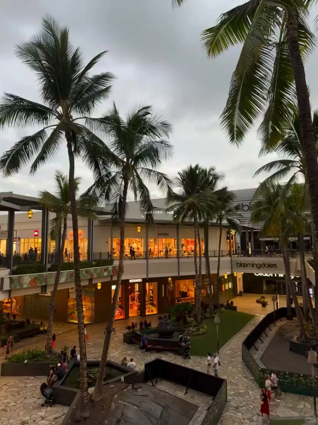 11.12📍夏威夷受罪已回，跟xhs说的不一样😅