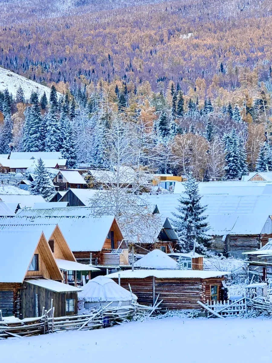 真心不贵❗最新10-12🈷新疆冬季小团❄️