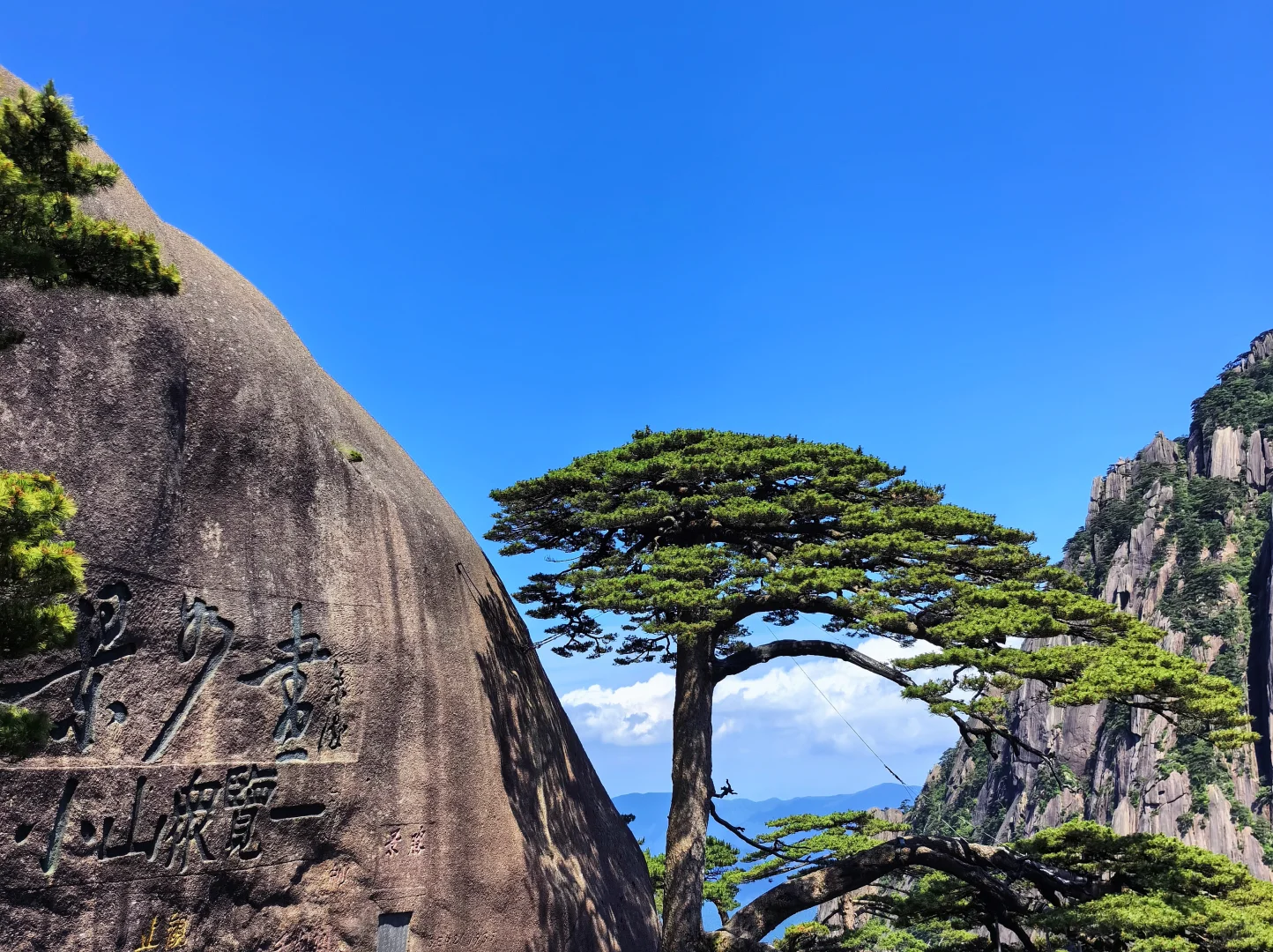 ✨黄山｜人间仙境爬黄山全攻略，别错过这些