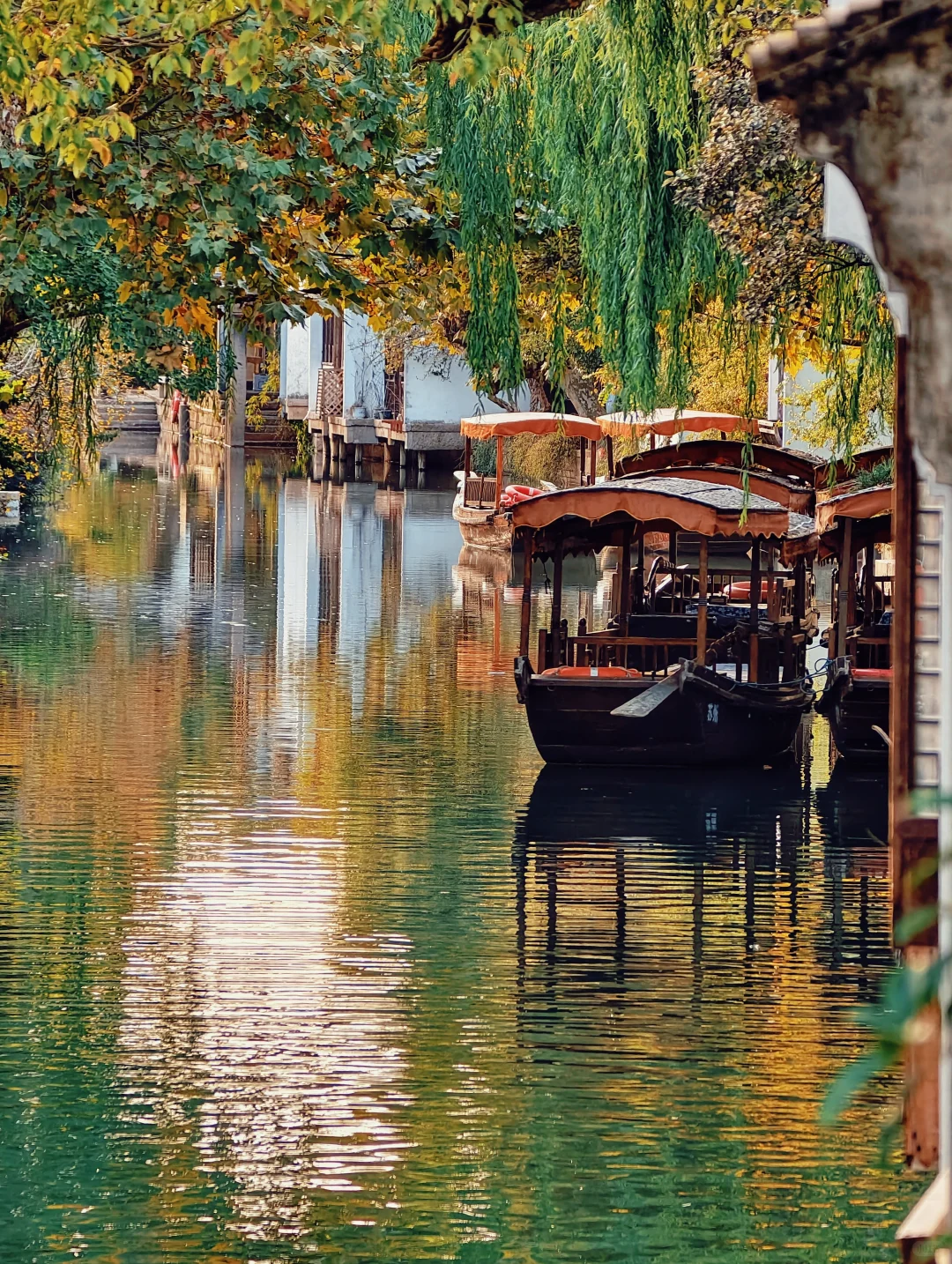 入秋的苏州，绝美水乡