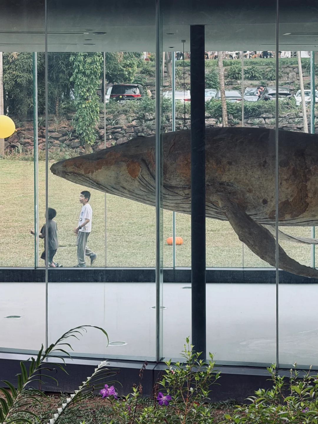 慢下来吧🍂用🧠走出去