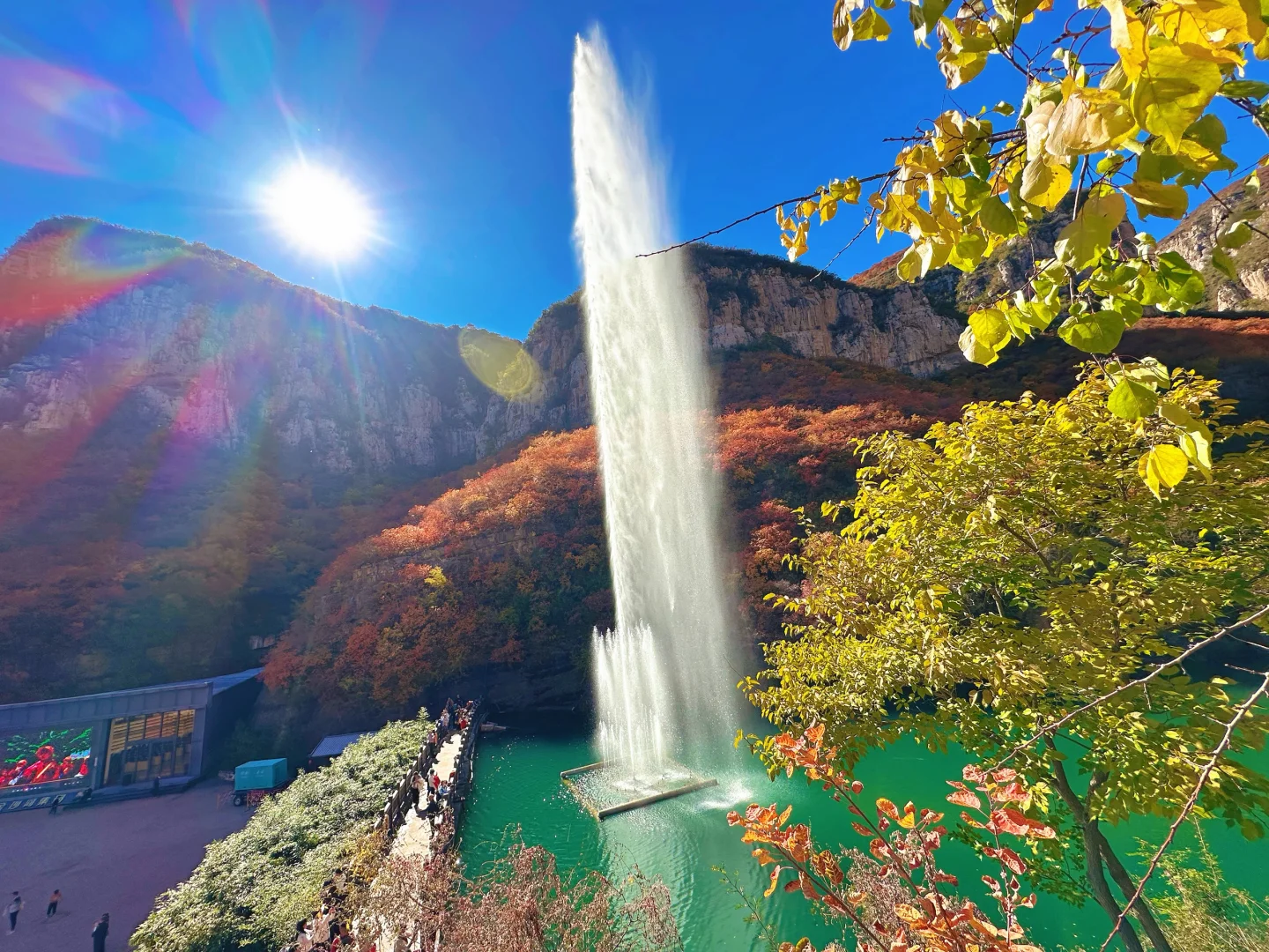 想看看你们拍的红叶🍁