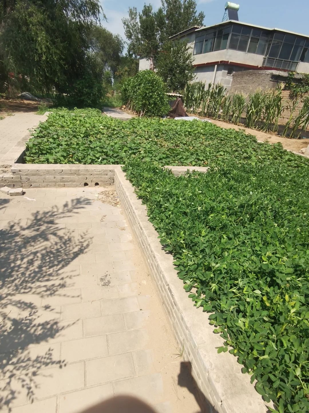 北齐文宣皇帝高洋武宁陵