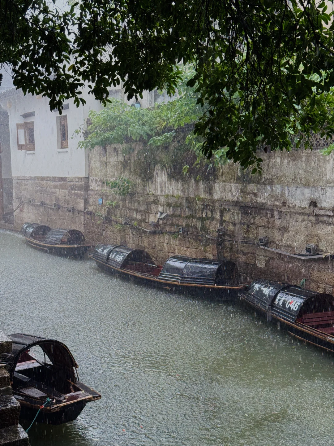 淡季的绍兴真的人间理想。。。