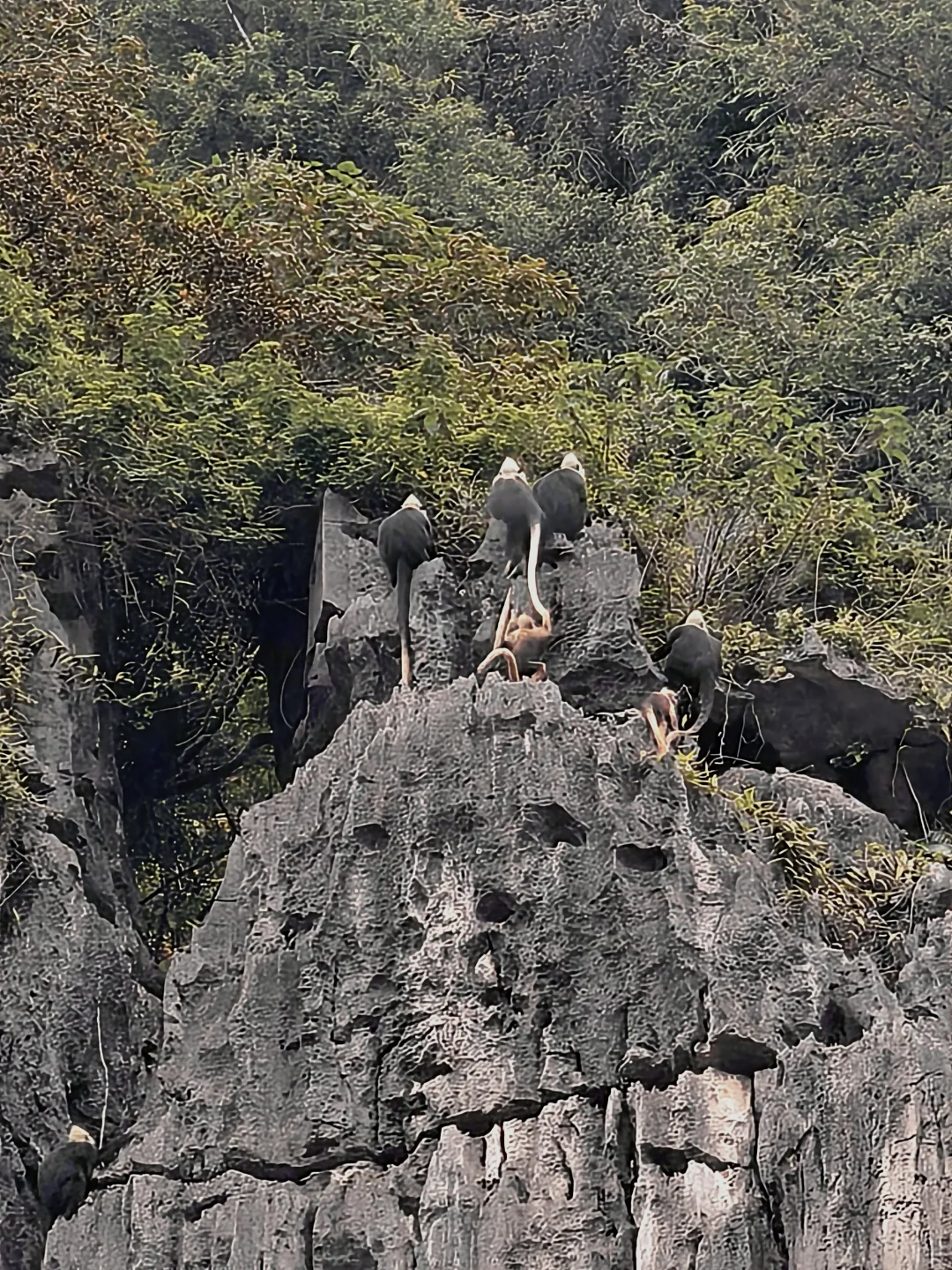 崇左半马小记：一场以跑步为名的旅行