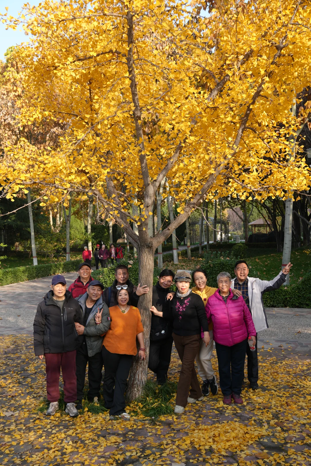 太行天路赏秋，和伙计们的金色合影