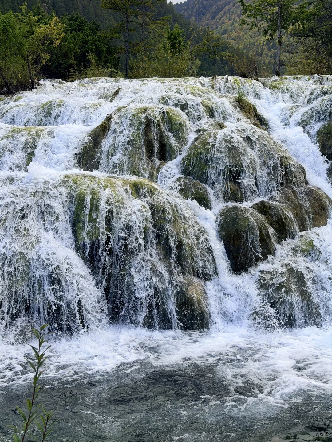 10.27九寨沟豪赌成功！红叶美哭｜Live实况