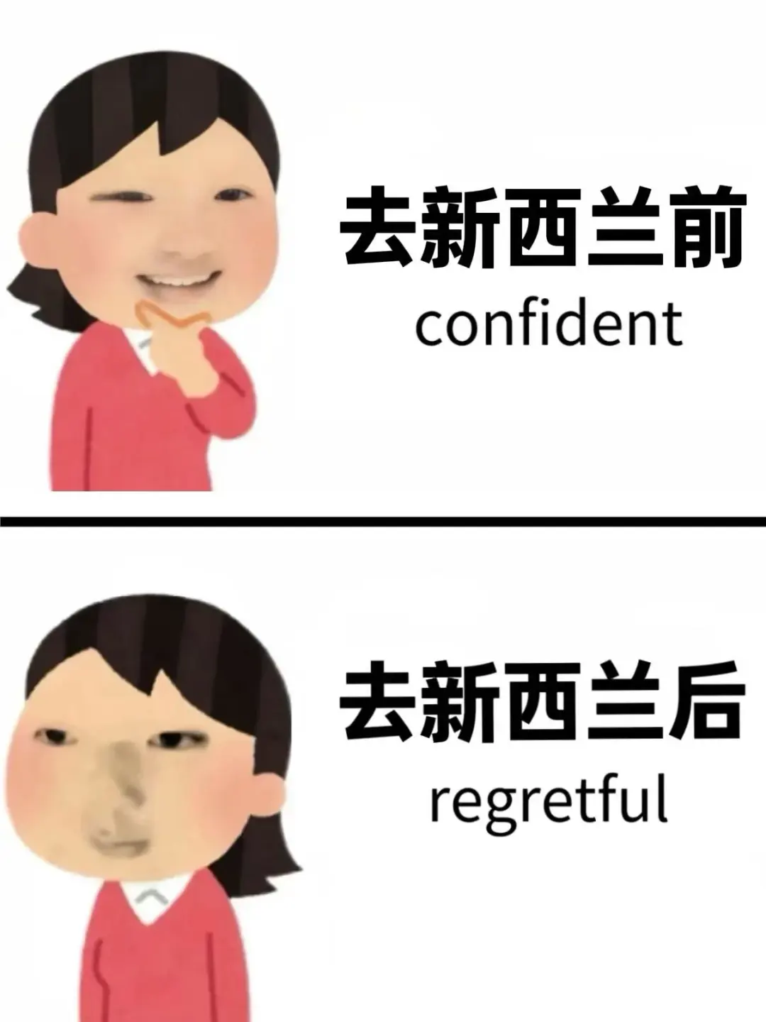 为什么去新西兰旅游之前没刷到这篇😅