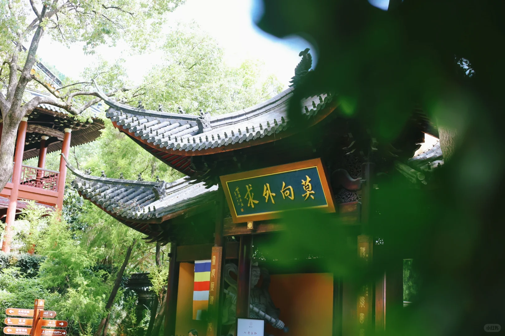 逃到山里，去见清风明月🌳🍃