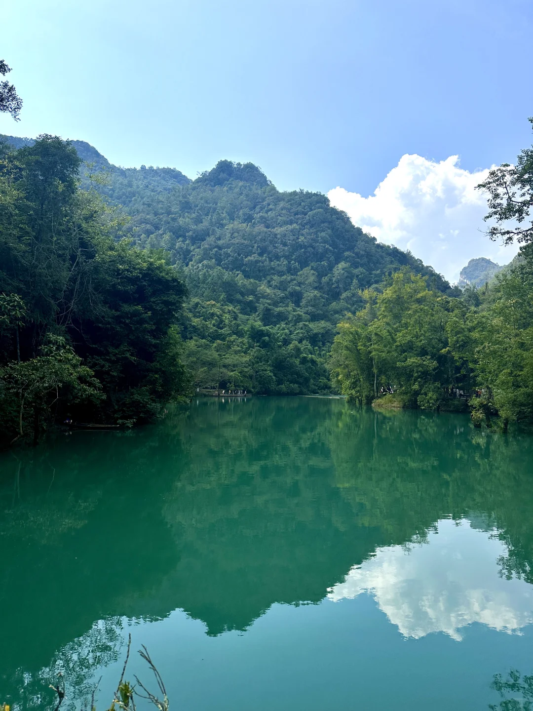 荔波小七孔｜无滤镜live图直出景色图来了🍃