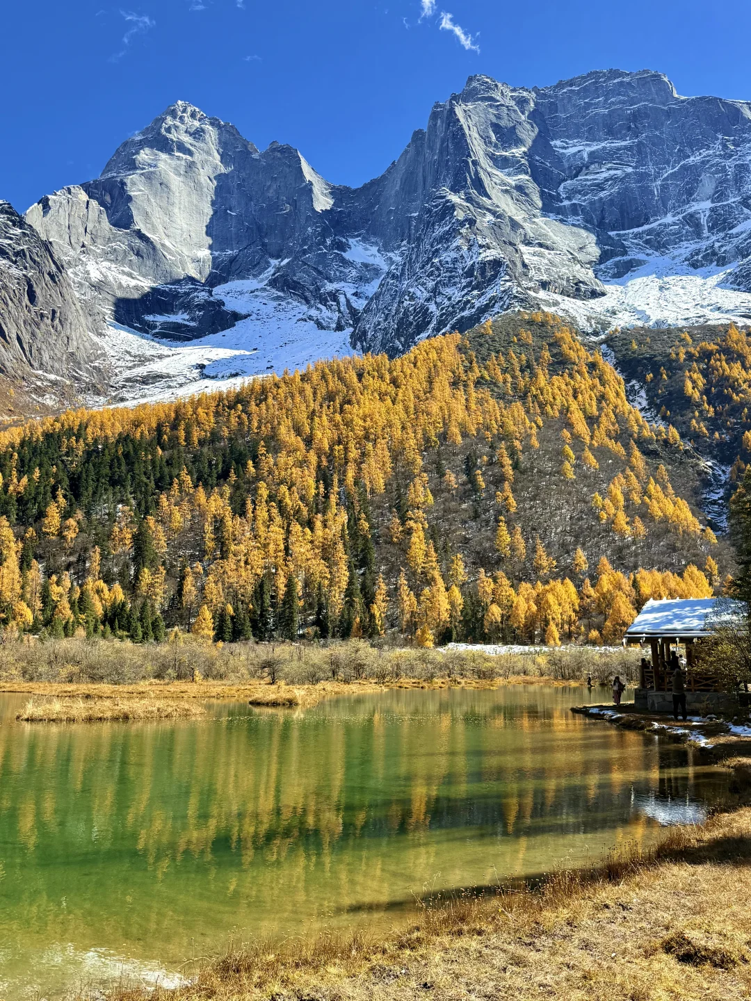 最近的四姑娘山简直是人间理想！！人生live🍁