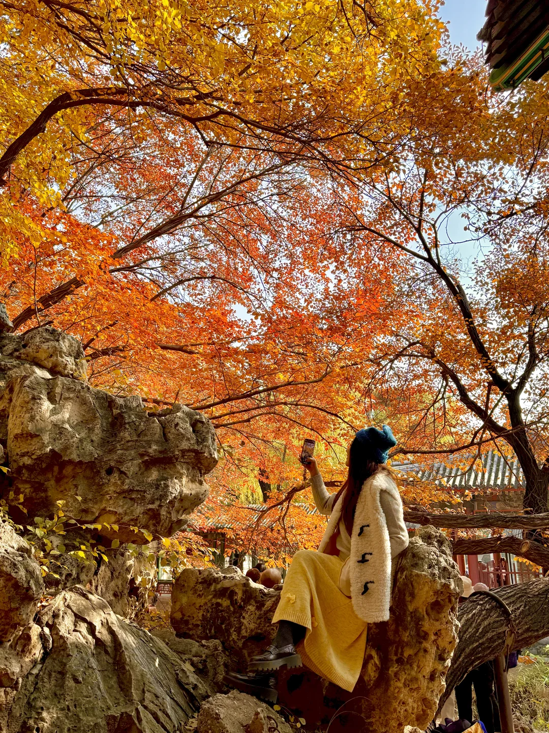 11.5实况！！颐和园油画般的秋景！杀疯了！🍂🍁