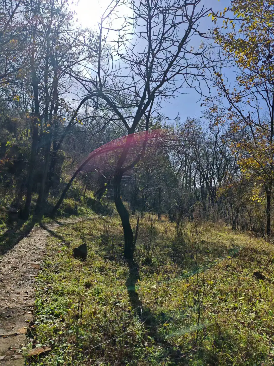 每周一山-秋山风景区