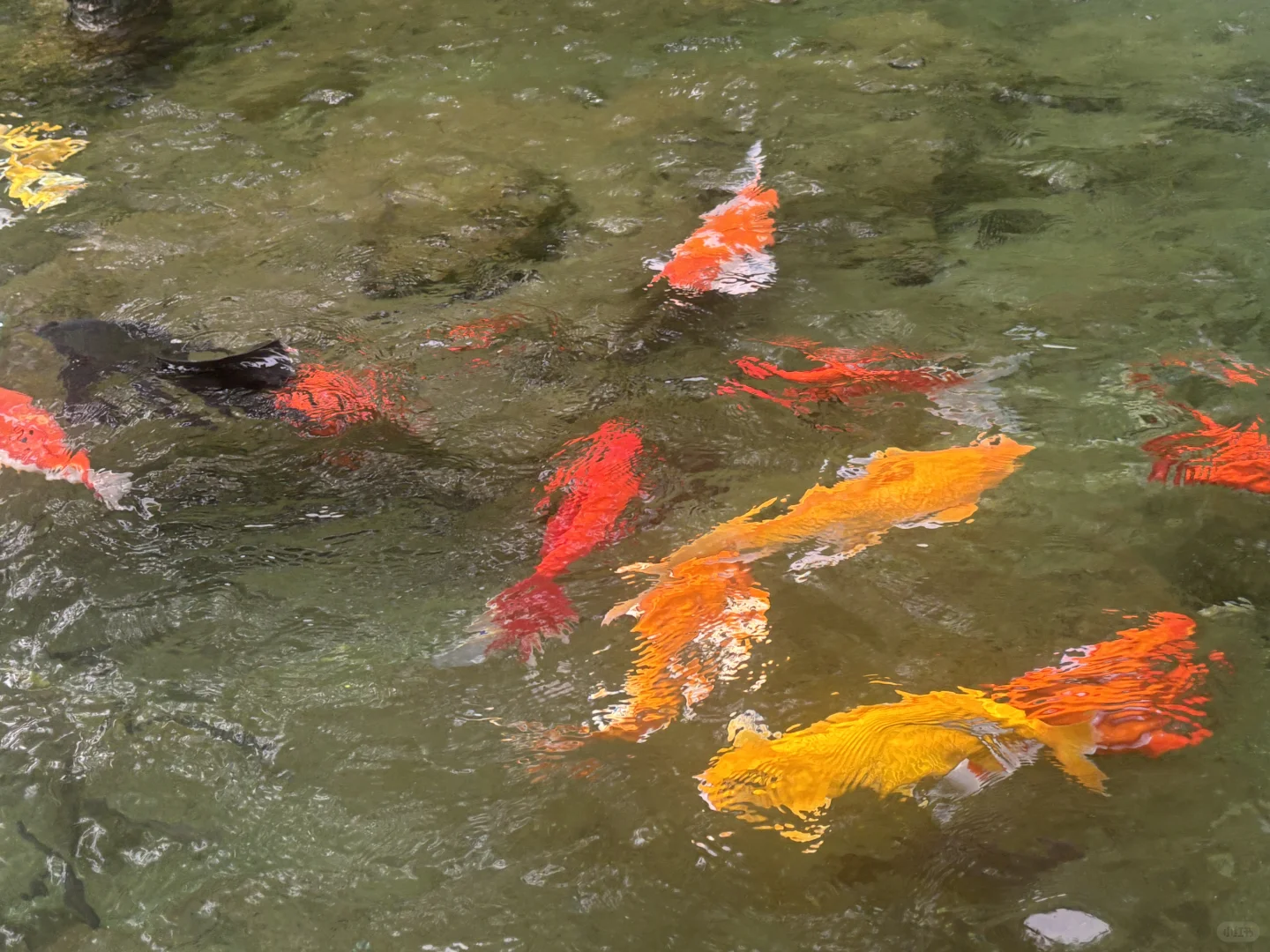 洛阳旅游攻略❗超全！11月来洛阳的宝子看