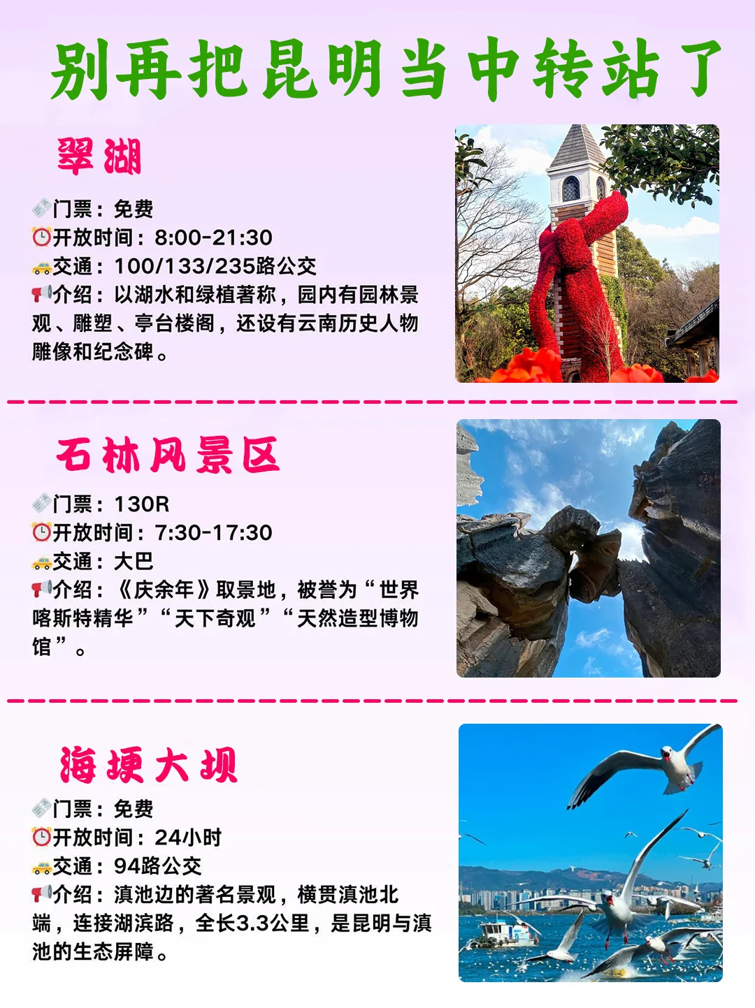 📍暑假去云南 别再把昆明当中转站✨快冲