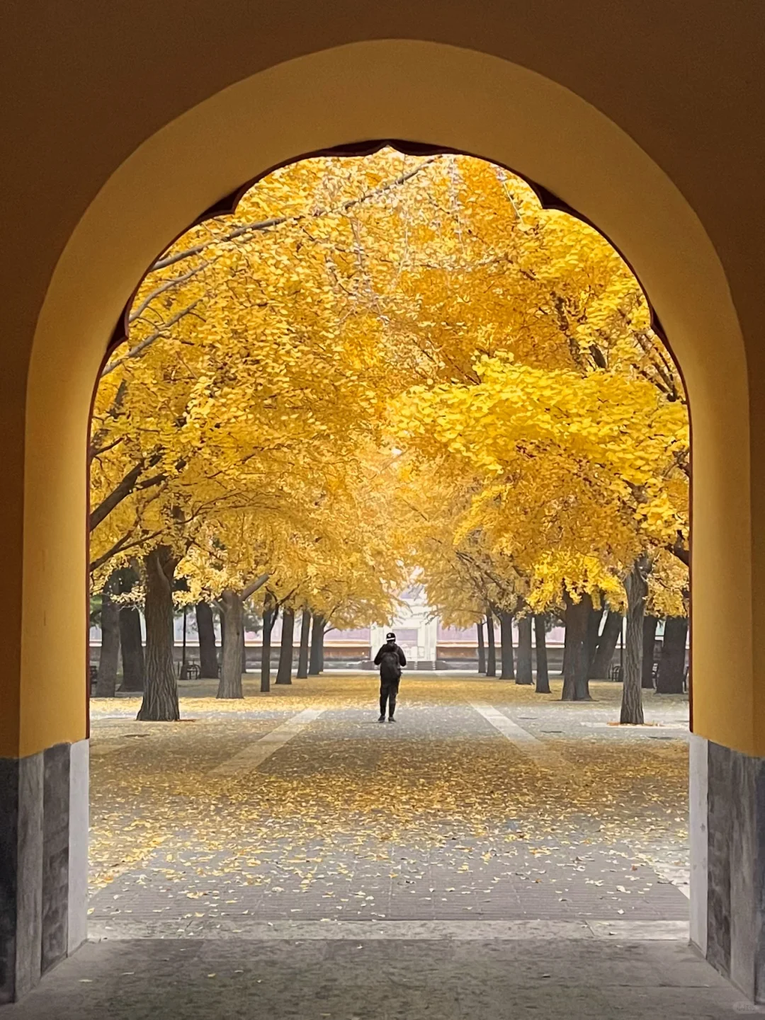 答应我，本周来北京一定走这条路线🍂11.6版