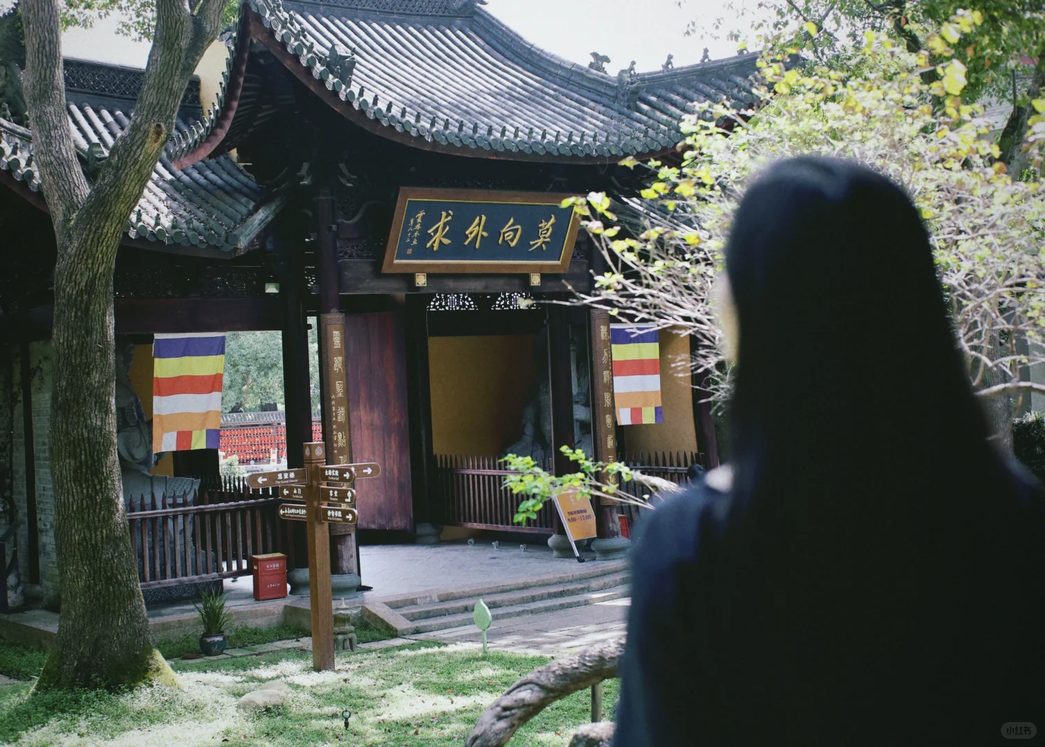 逃到山里，去见清风明月🌳🍃
