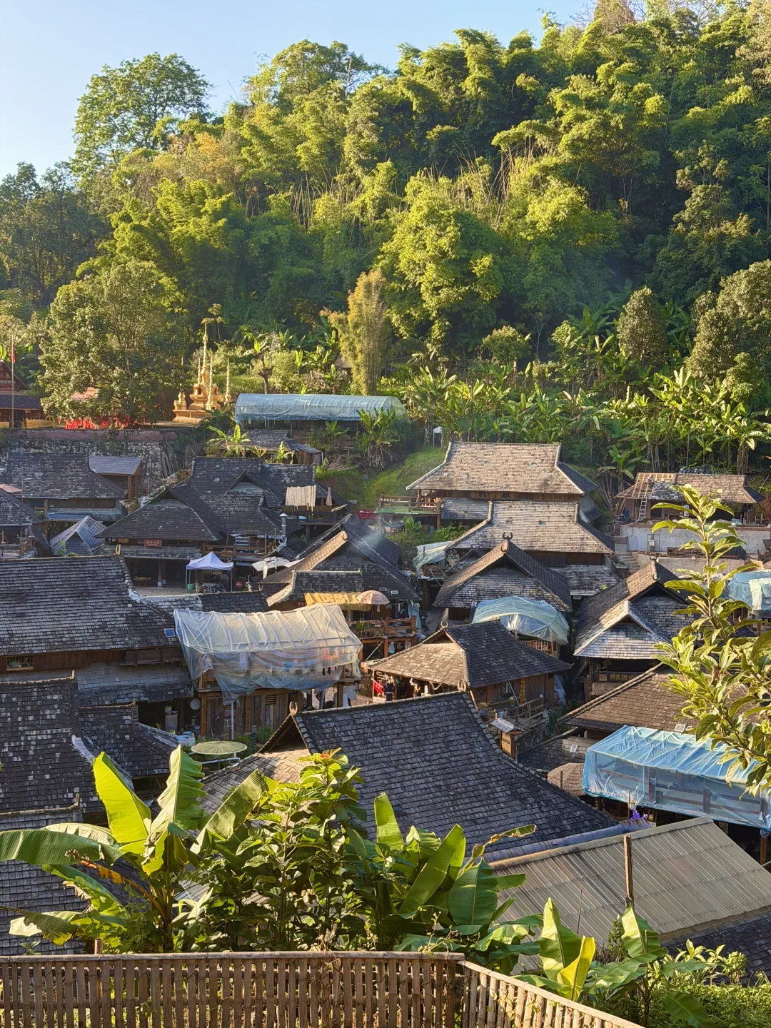 今年为止，我最喜欢的旅行地出现了…