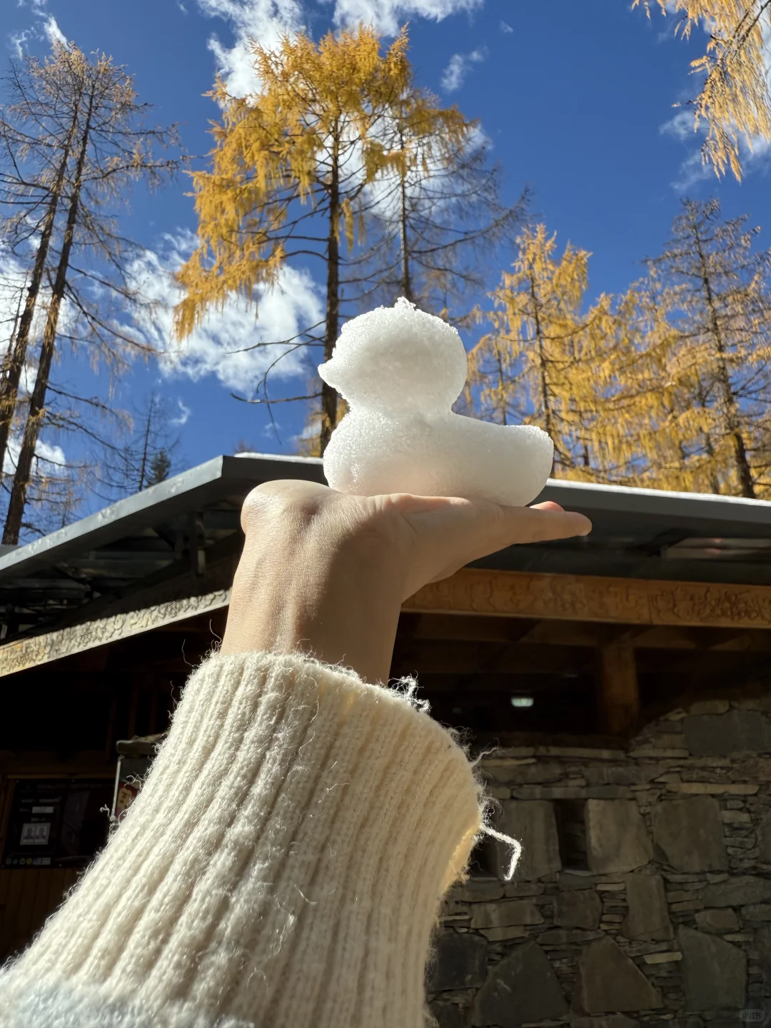 11.6实拍！！！今天的四姑娘山美到封神！！！！！