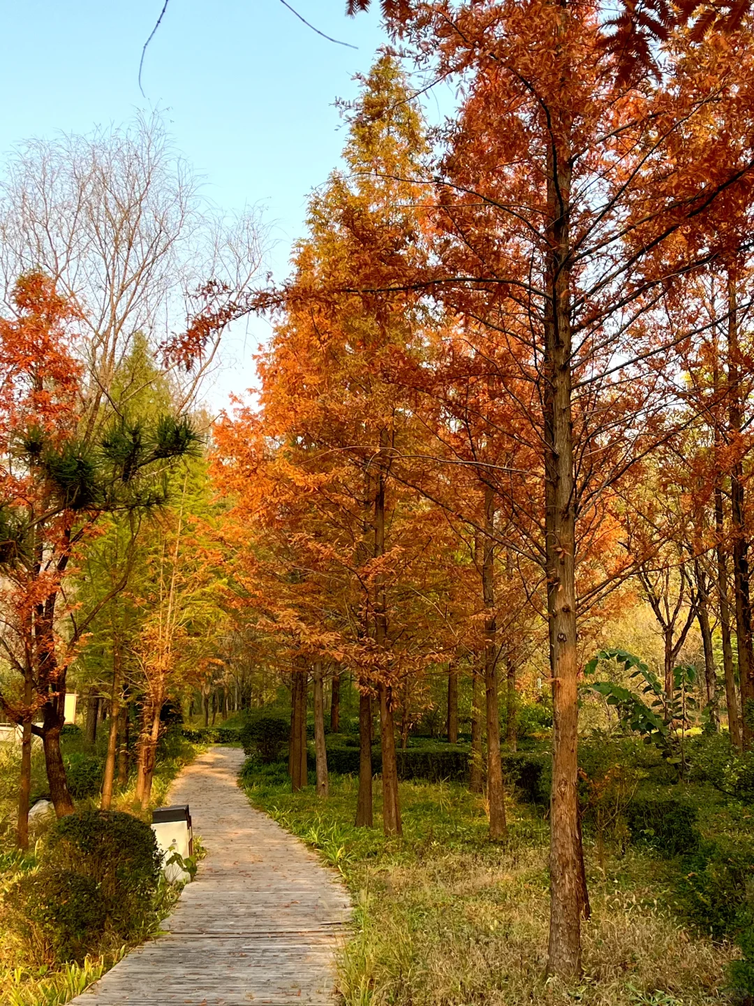 低调的5A景区——“活楼吊庙”娲皇宫