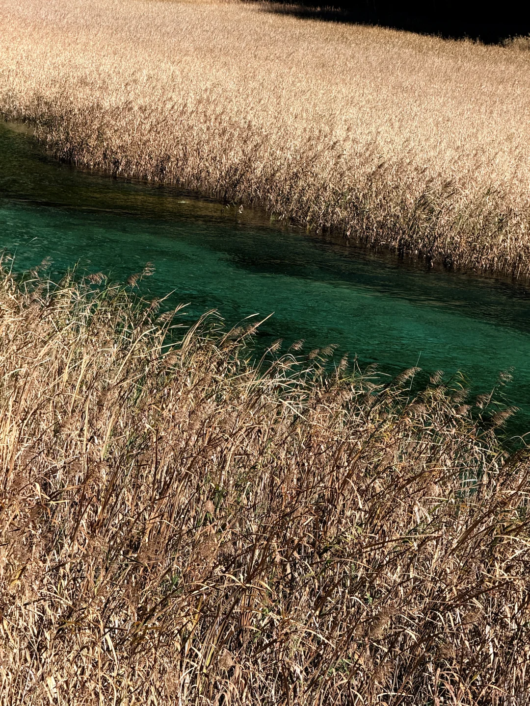 说一万次“太美了”