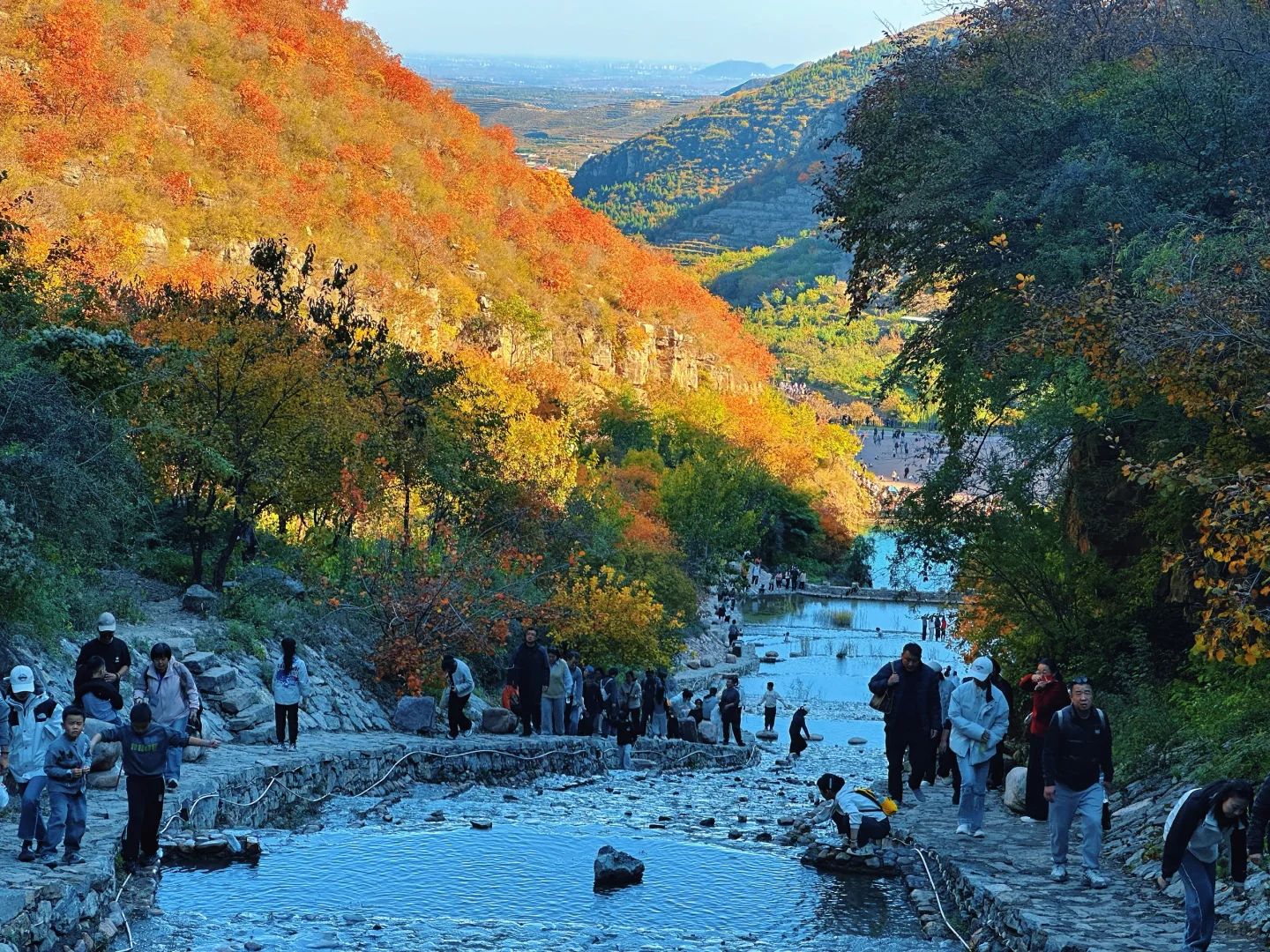 想看看你们拍的红叶🍁