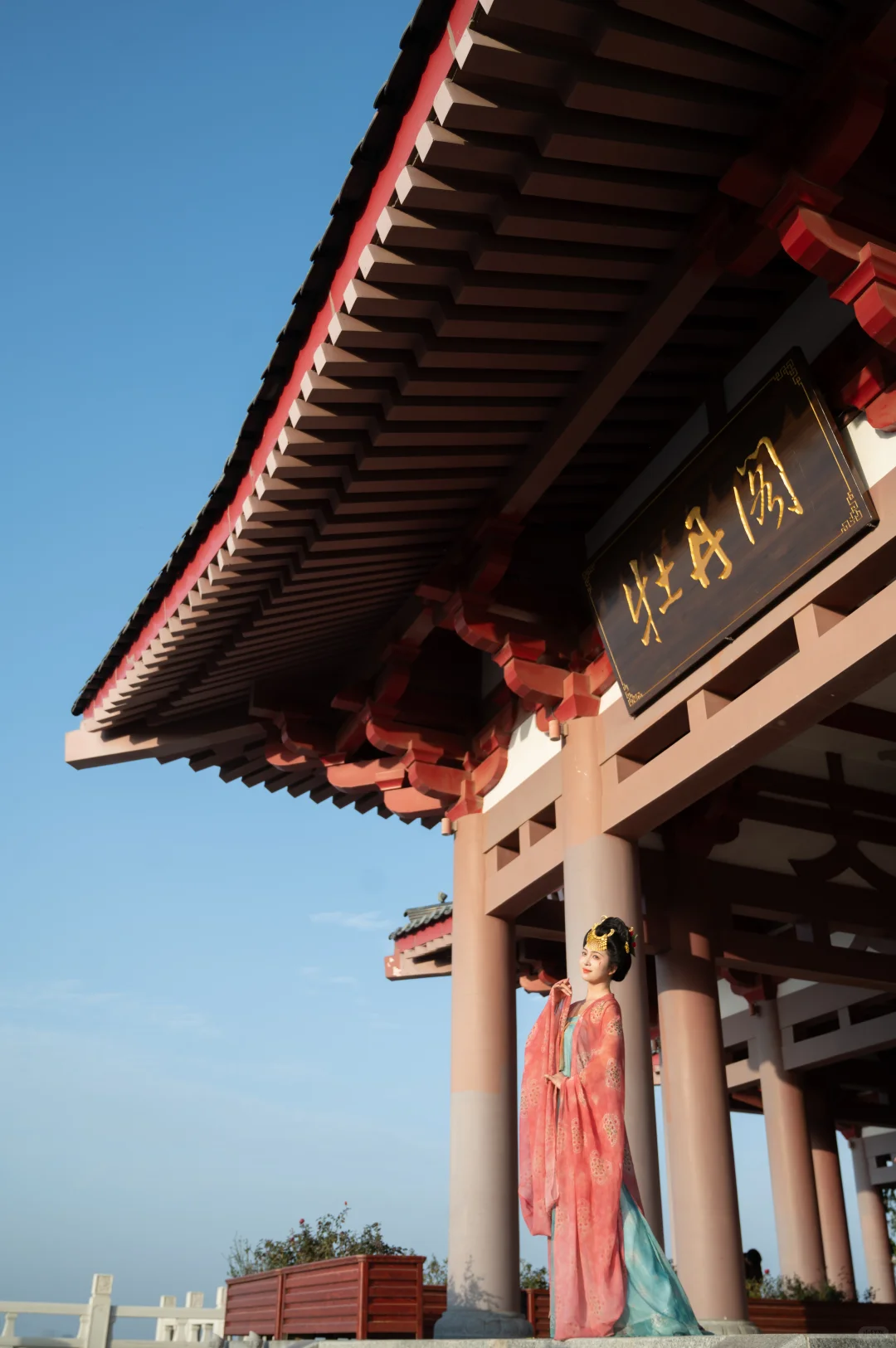 洛阳新晋汉服打卡地！牡丹阁也太出片了！