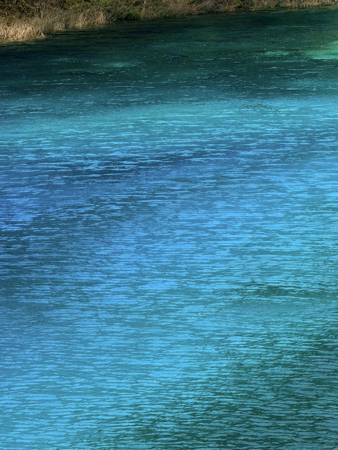 10.27九寨沟豪赌成功！红叶美哭｜Live实况