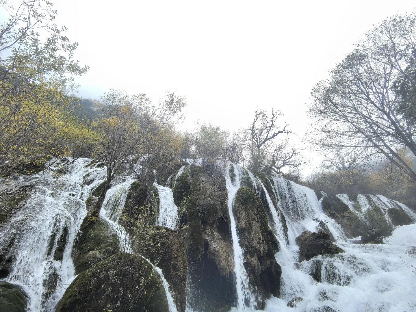 11.11九寨沟树正沟实况