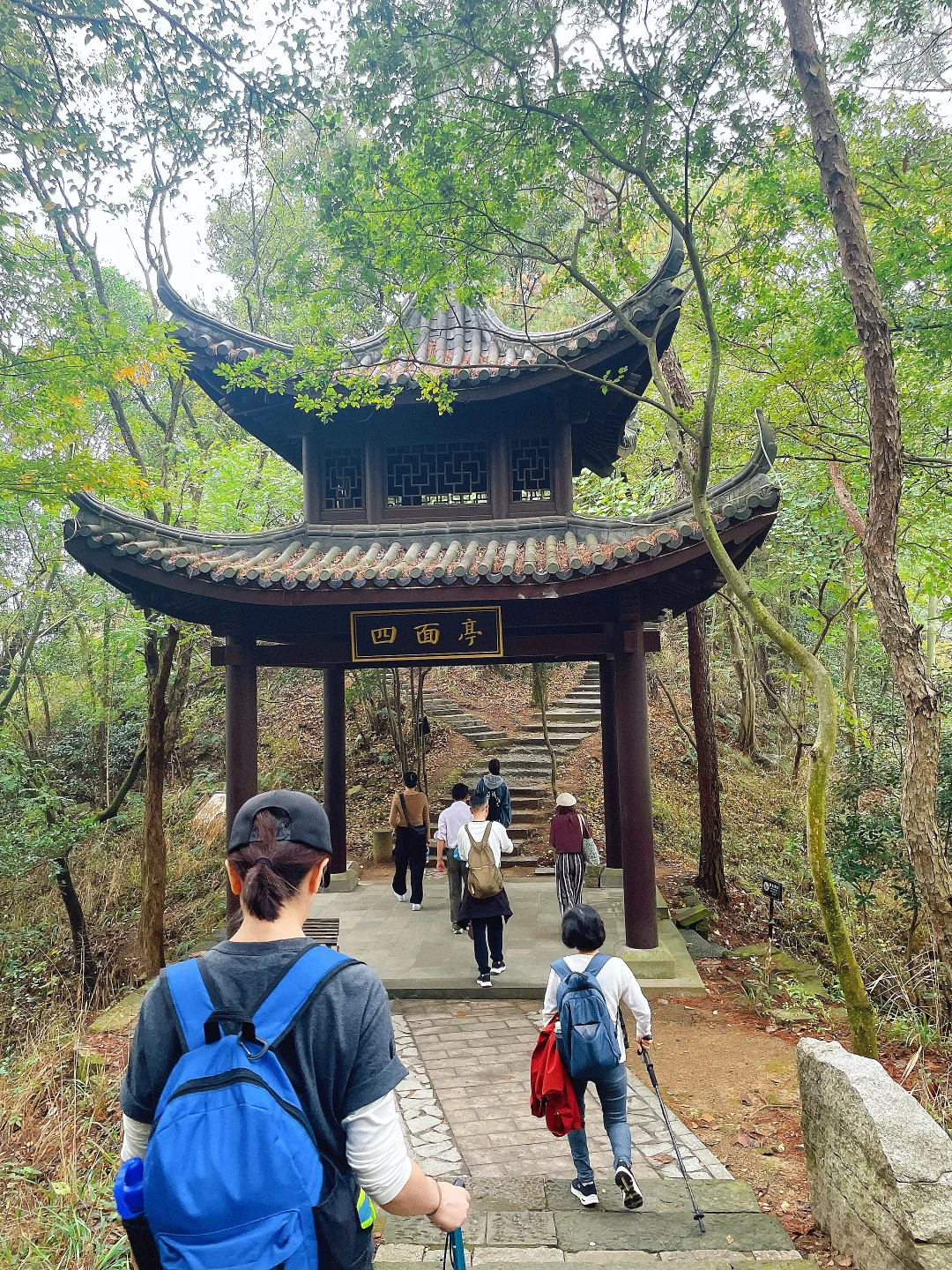 上海7080后旅游搭子