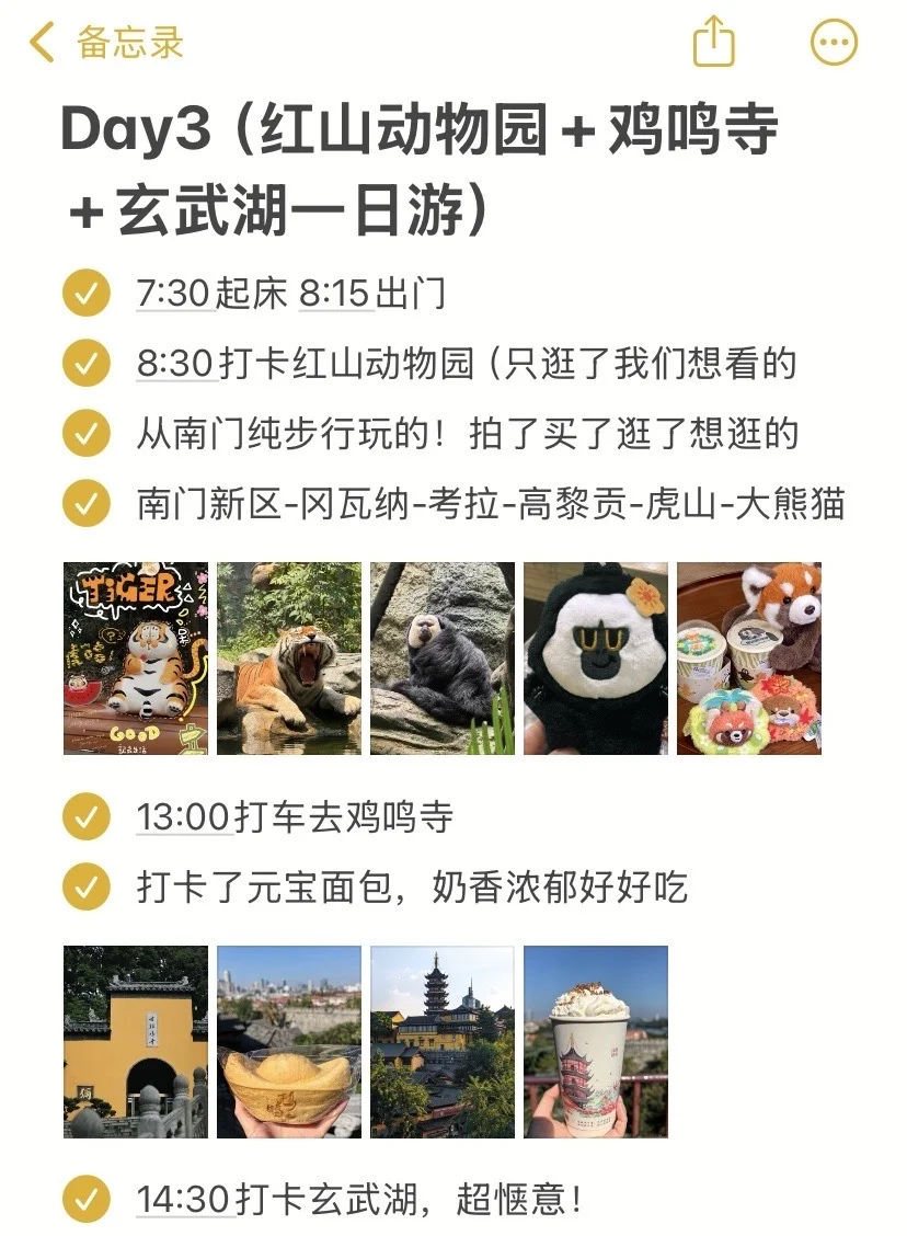 J人对自己做的南京攻略满意的睡不着…🥹