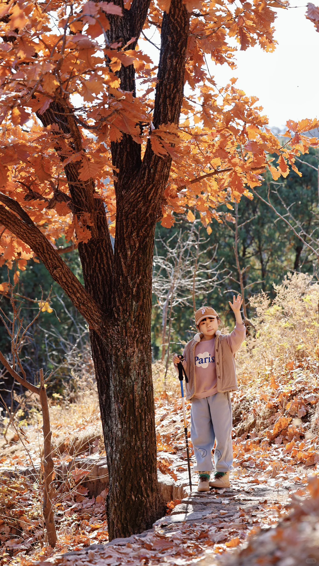 京北禅意秋色｜被低估的小众秘境🍂（附攻略）