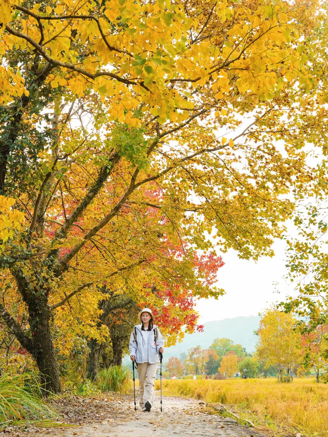 塔川实拍🍁皖南秋天可以冲啦‼️附拍照攻略