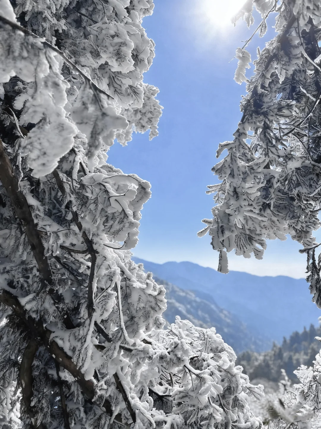 推荐个广东人最省时省钱的赏雪地：南岳衡山