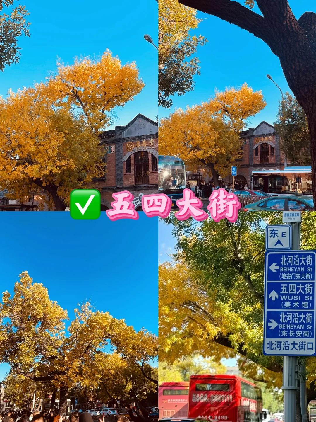北京九大赏秋地合集！错过还得在等一年🔥