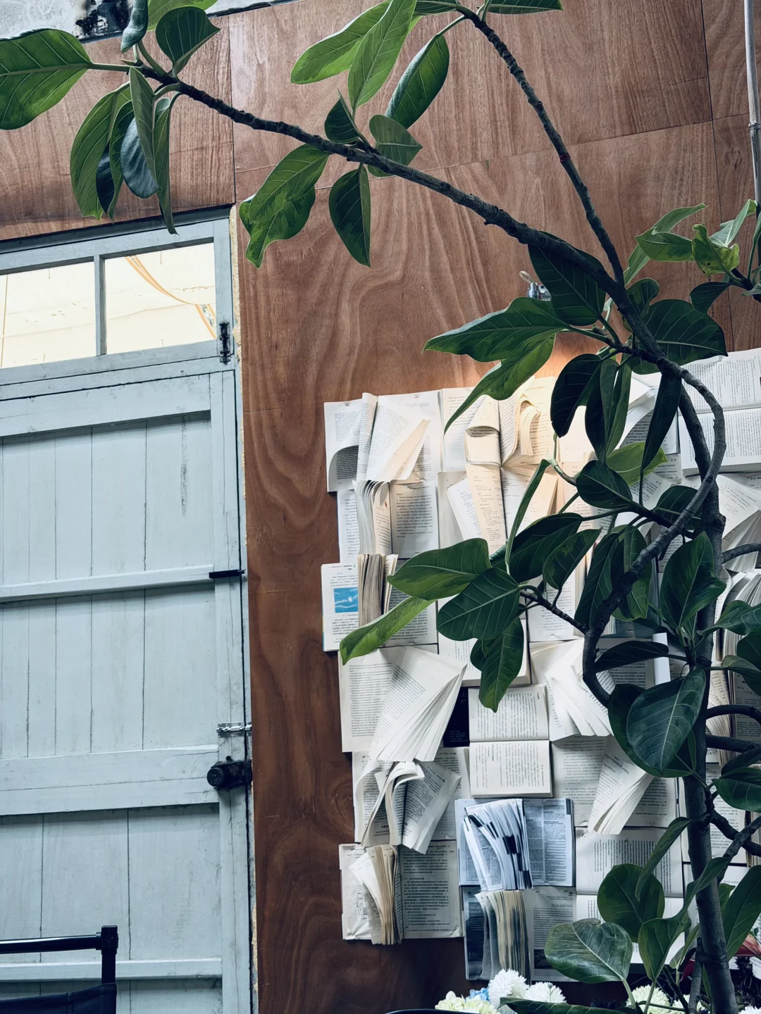 慢下来吧🍂用🧠走出去