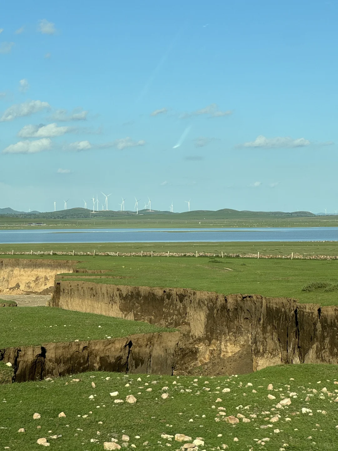 风吹草低见牛羊🐂🐎🐑