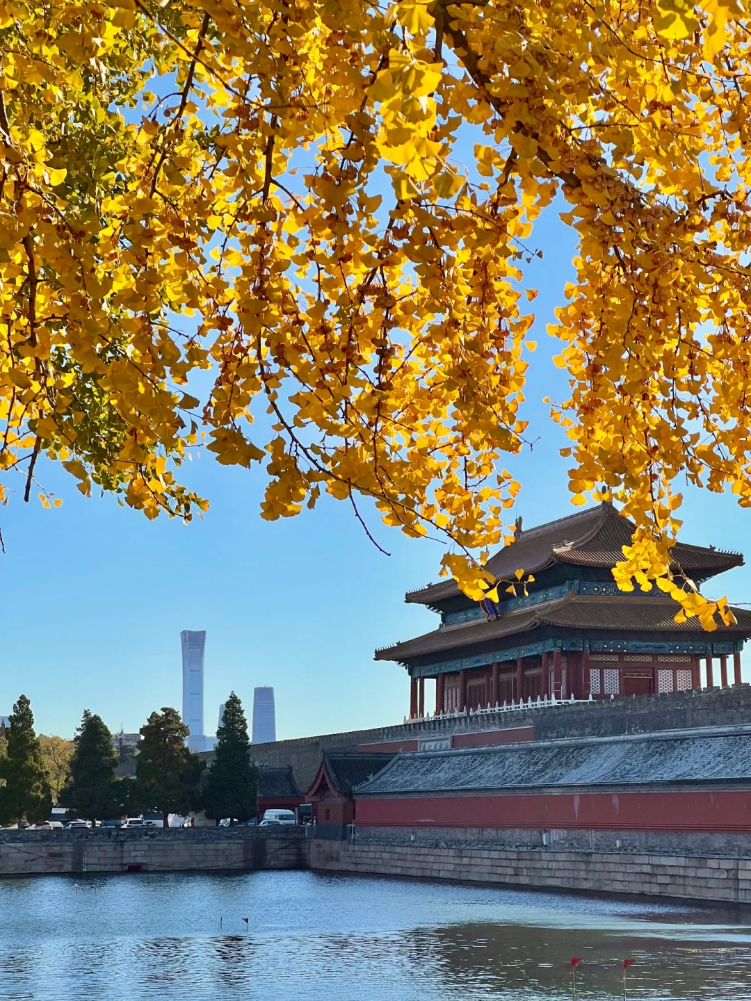 下周来北京一定要走这条赏秋路线