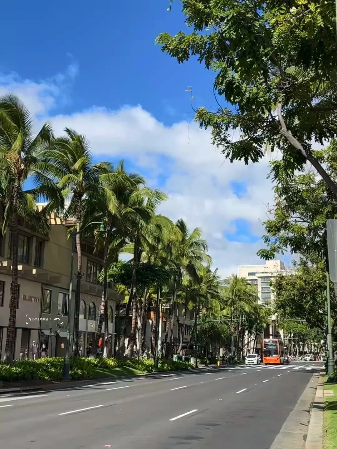 11.12📍夏威夷受罪已回，跟xhs说的不一样😅