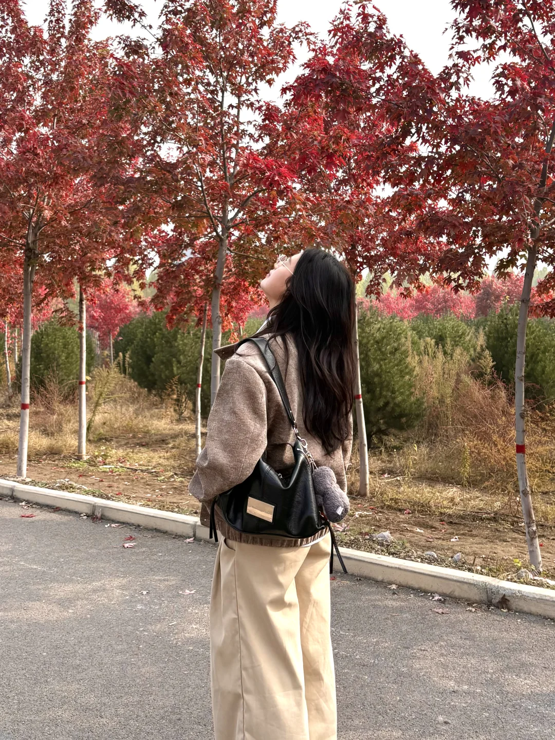 live邯郸｜枫叶是秋天的星星✨🍁