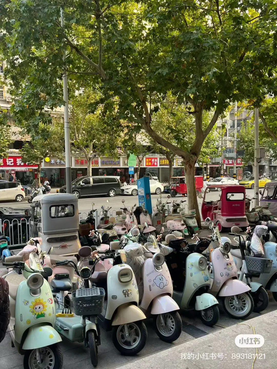 徐州旅游|租小电驴一天才几十，太赞了叭