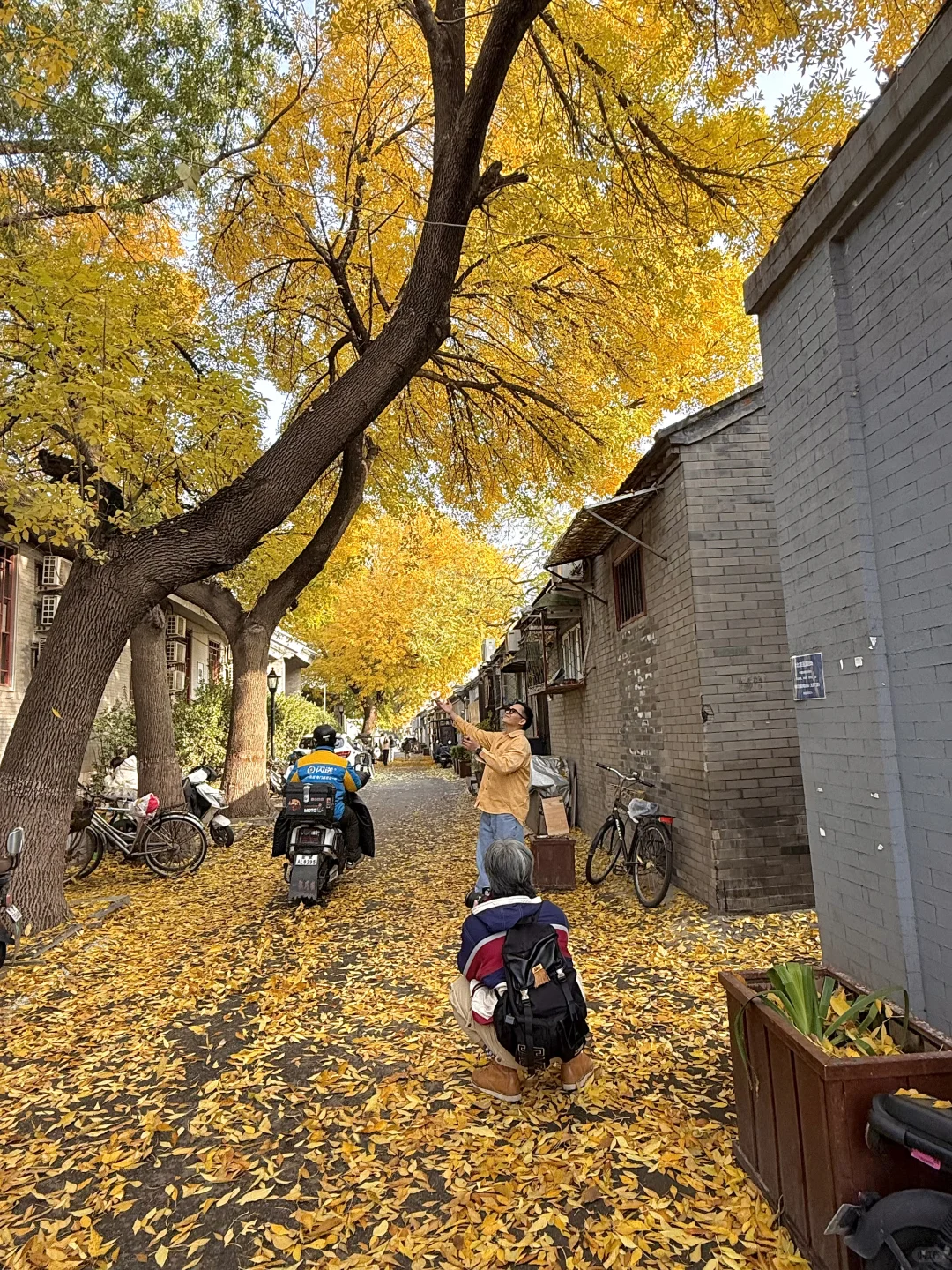 11.8实况！北京今天的胡同杀疯了！！